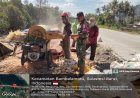 Perkuat Swasembada Pangan, Babinsa Koramil 1427-02 Bambalamotu Bersama Petani Giling Jagung